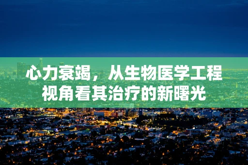心力衰竭，从生物医学工程视角看其治疗的新曙光