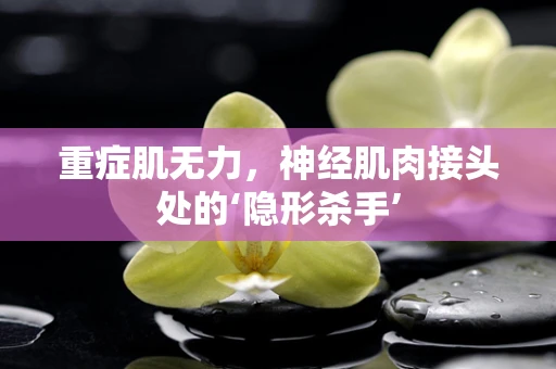 重症肌无力，神经肌肉接头处的‘隐形杀手’