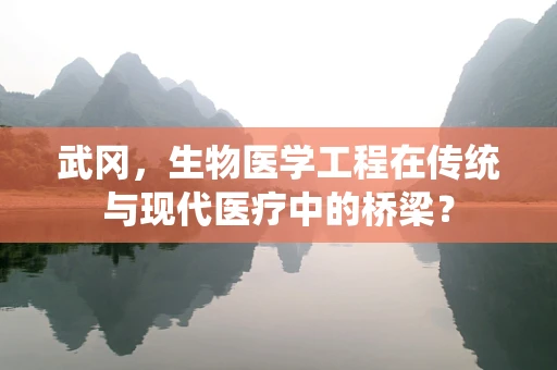 武冈，生物医学工程在传统与现代医疗中的桥梁？