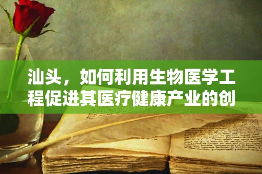 汕头，如何利用生物医学工程促进其医疗健康产业的创新发展？
