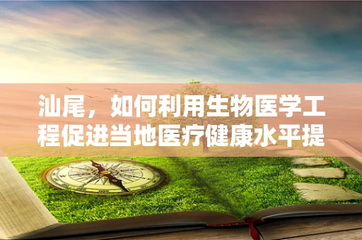 汕尾，如何利用生物医学工程促进当地医疗健康水平提升？