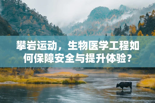 攀岩运动，生物医学工程如何保障安全与提升体验？