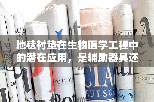 地毯衬垫在生物医学工程中的潜在应用，是辅助器具还是新治疗手段？
