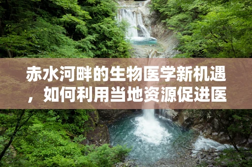赤水河畔的生物医学新机遇，如何利用当地资源促进医疗技术创新？
