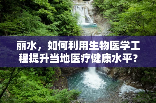 丽水，如何利用生物医学工程提升当地医疗健康水平？