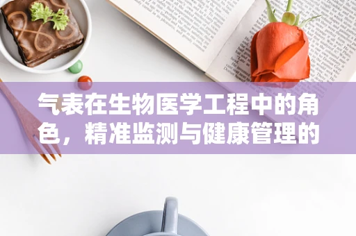 气表在生物医学工程中的角色，精准监测与健康管理的桥梁？