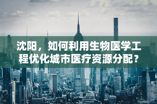 沈阳，如何利用生物医学工程优化城市医疗资源分配？