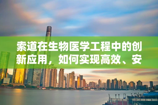 索道在生物医学工程中的创新应用，如何实现高效、安全的医疗物资运输？