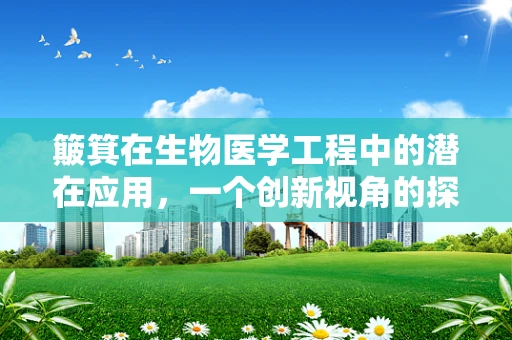 簸箕在生物医学工程中的潜在应用，一个创新视角的探讨？