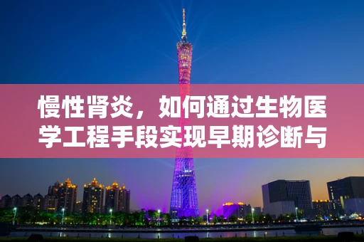 慢性肾炎，如何通过生物医学工程手段实现早期诊断与个性化治疗？