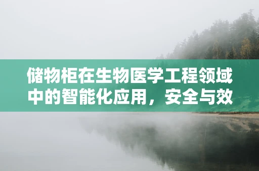 储物柜在生物医学工程领域中的智能化应用，安全与效率的双重提升？