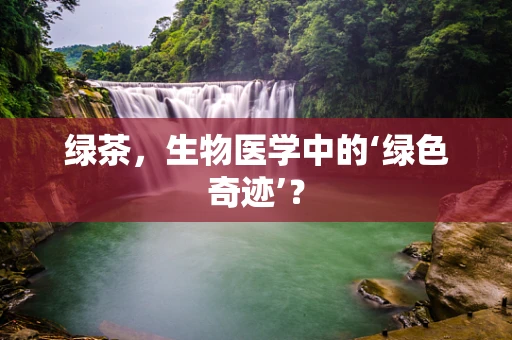 绿茶，生物医学中的‘绿色奇迹’？