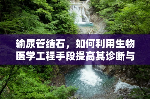 输尿管结石，如何利用生物医学工程手段提高其诊断与治疗效率？