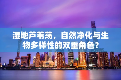 湿地芦苇荡，自然净化与生物多样性的双重角色？