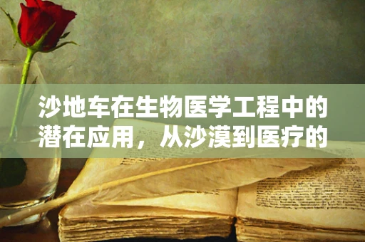 沙地车在生物医学工程中的潜在应用，从沙漠到医疗的跨界探索