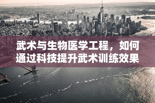 武术与生物医学工程，如何通过科技提升武术训练效果？