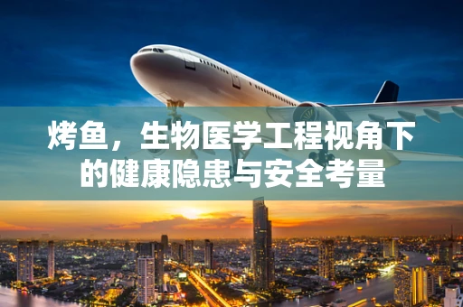 烤鱼，生物医学工程视角下的健康隐患与安全考量