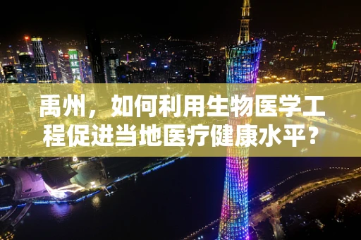 禹州，如何利用生物医学工程促进当地医疗健康水平？
