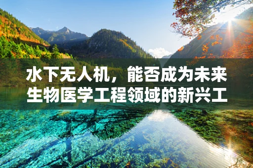 水下无人机，能否成为未来生物医学工程领域的新兴工具？