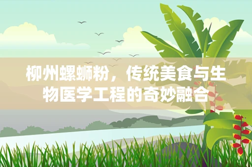 柳州螺蛳粉，传统美食与生物医学工程的奇妙融合