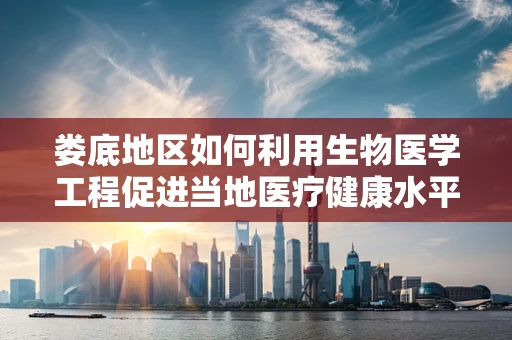 娄底地区如何利用生物医学工程促进当地医疗健康水平提升？