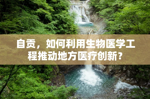 自贡，如何利用生物医学工程推动地方医疗创新？