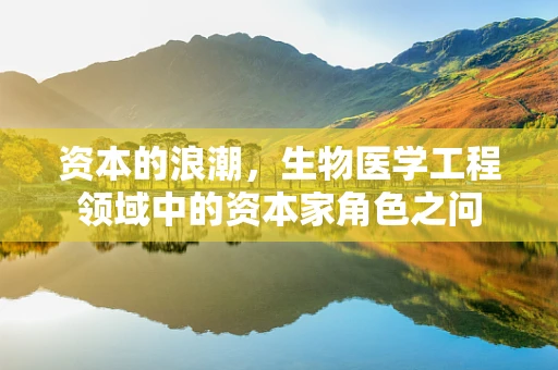资本的浪潮，生物医学工程领域中的资本家角色之问