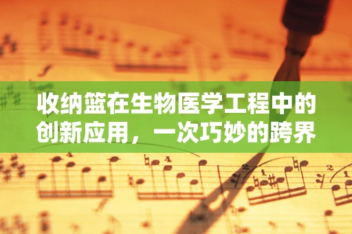 收纳篮在生物医学工程中的创新应用，一次巧妙的跨界尝试？