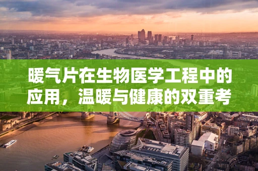 暖气片在生物医学工程中的应用，温暖与健康的双重考量