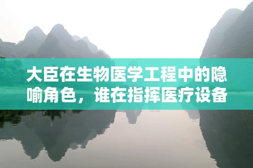 大臣在生物医学工程中的隐喻角色，谁在指挥医疗设备的精准运行？