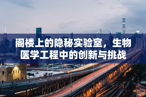 阁楼上的隐秘实验室，生物医学工程中的创新与挑战