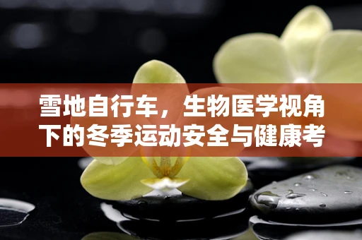 雪地自行车，生物医学视角下的冬季运动安全与健康考量