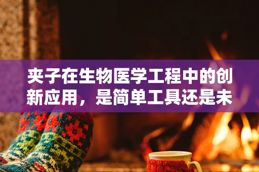 夹子在生物医学工程中的创新应用，是简单工具还是未来医疗的钥匙？
