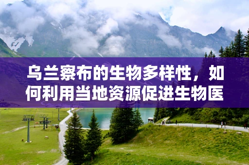 乌兰察布的生物多样性，如何利用当地资源促进生物医学工程创新？