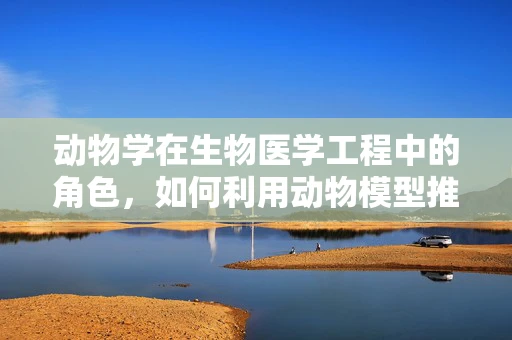 动物学在生物医学工程中的角色，如何利用动物模型推动医疗创新？