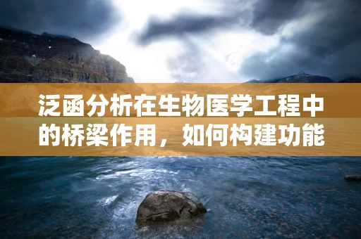 泛函分析在生物医学工程中的桥梁作用，如何构建功能与结构的数学桥梁？