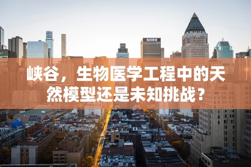 峡谷，生物医学工程中的天然模型还是未知挑战？