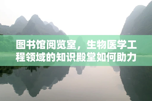 图书馆阅览室，生物医学工程领域的知识殿堂如何助力科研创新？