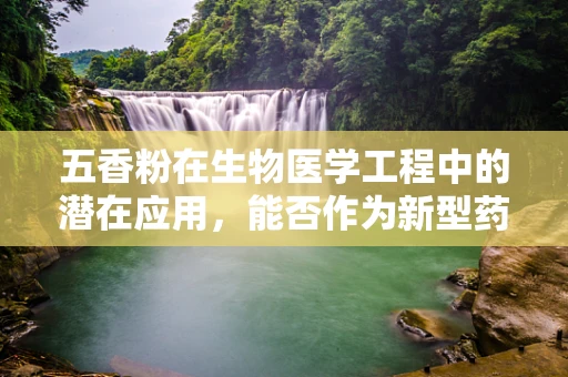 五香粉在生物医学工程中的潜在应用，能否作为新型药物载体？