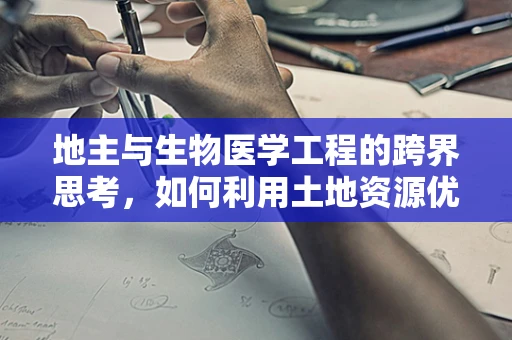 地主与生物医学工程的跨界思考，如何利用土地资源优化医疗设施布局？