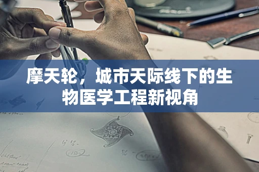 摩天轮，城市天际线下的生物医学工程新视角