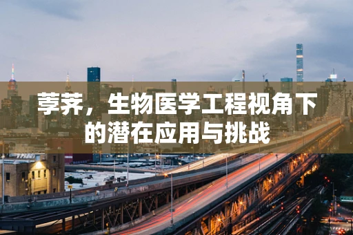 荸荠，生物医学工程视角下的潜在应用与挑战
