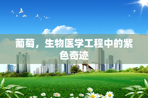 葡萄，生物医学工程中的紫色奇迹