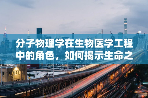 分子物理学在生物医学工程中的角色，如何揭示生命之谜？