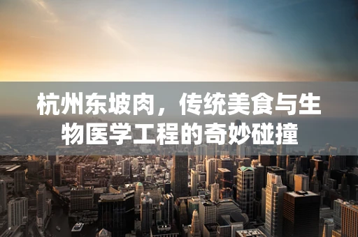 杭州东坡肉，传统美食与生物医学工程的奇妙碰撞