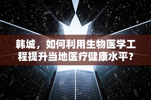 韩城，如何利用生物医学工程提升当地医疗健康水平？
