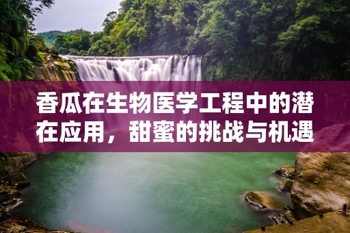香瓜在生物医学工程中的潜在应用，甜蜜的挑战与机遇？