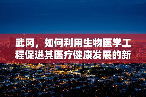 武冈，如何利用生物医学工程促进其医疗健康发展的新视角？