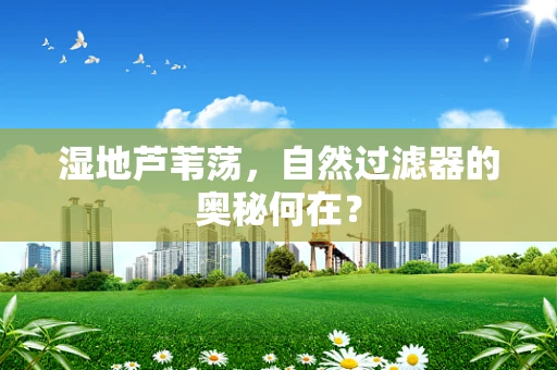 湿地芦苇荡，自然过滤器的奥秘何在？