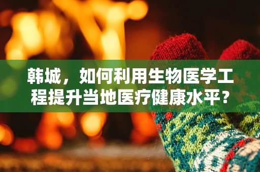 韩城，如何利用生物医学工程提升当地医疗健康水平？